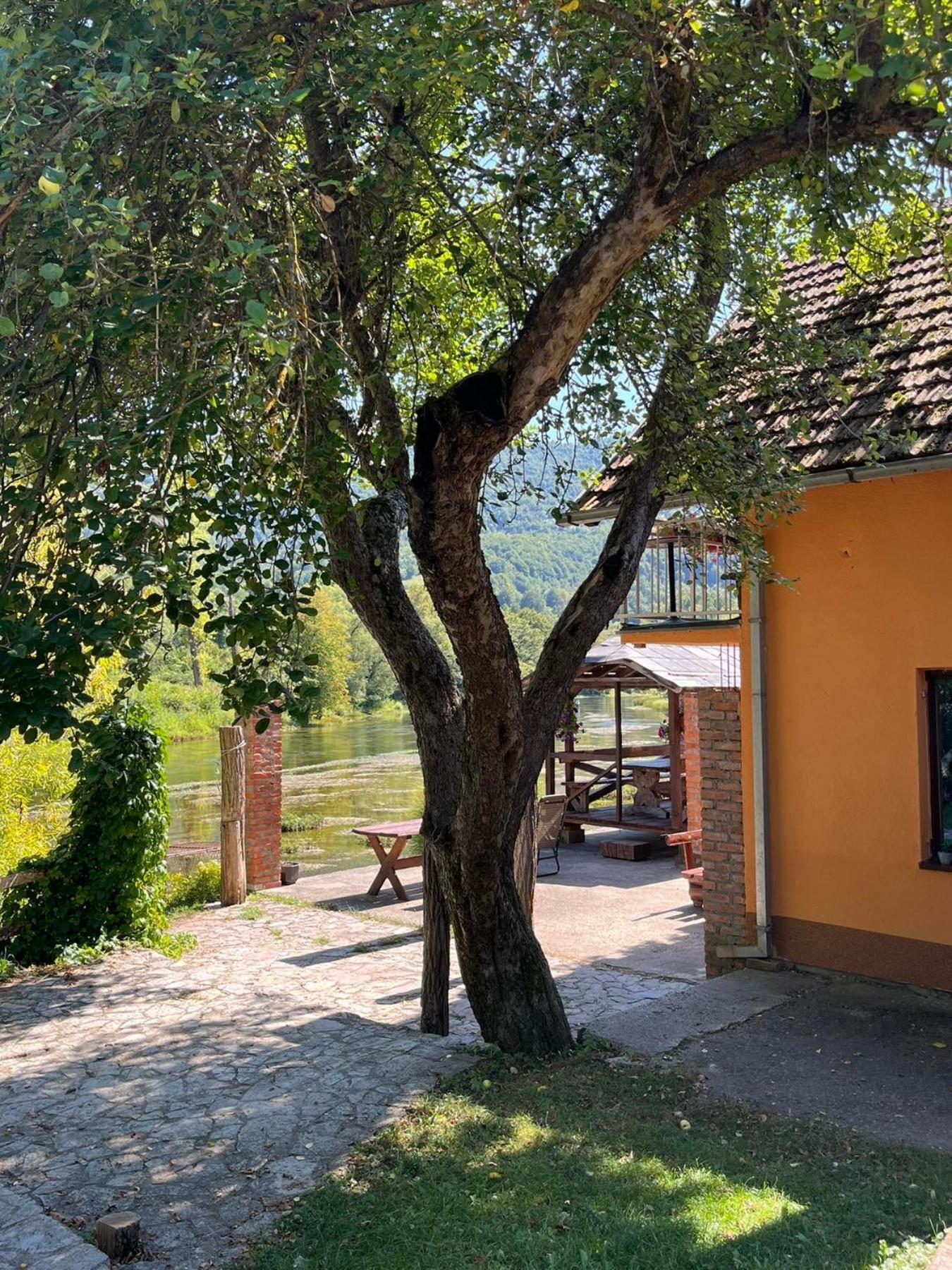 Bed And Breakfast Family Djukic Sipovo Экстерьер фото